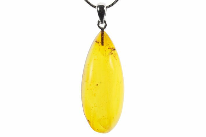 Polished Baltic Amber Pendant (Necklace) - Contains Fly! #352957
